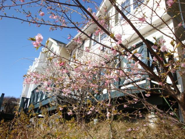 Hotel Liberty Hill Ito  Exterior foto